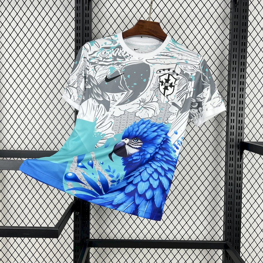 Brazil 25/26 Special Jersey