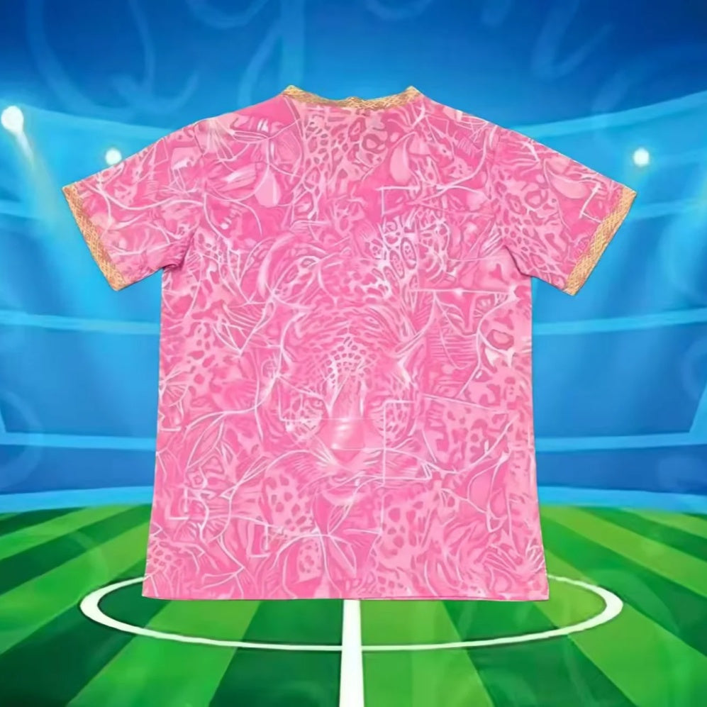Brazil 26/27 Special Pink Jersey