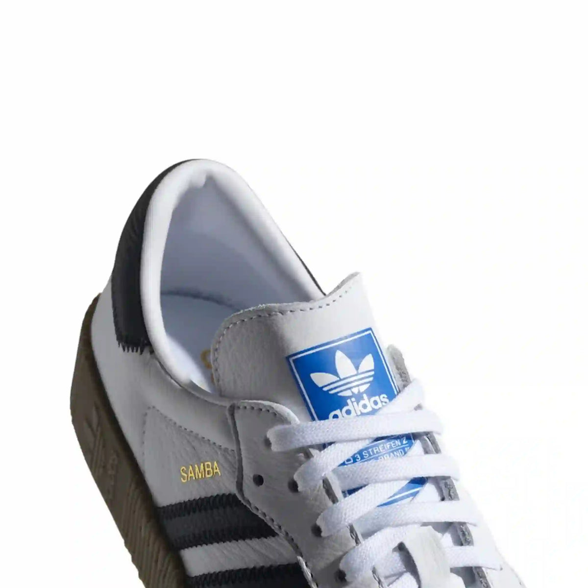 Sambarose “Cloud White”