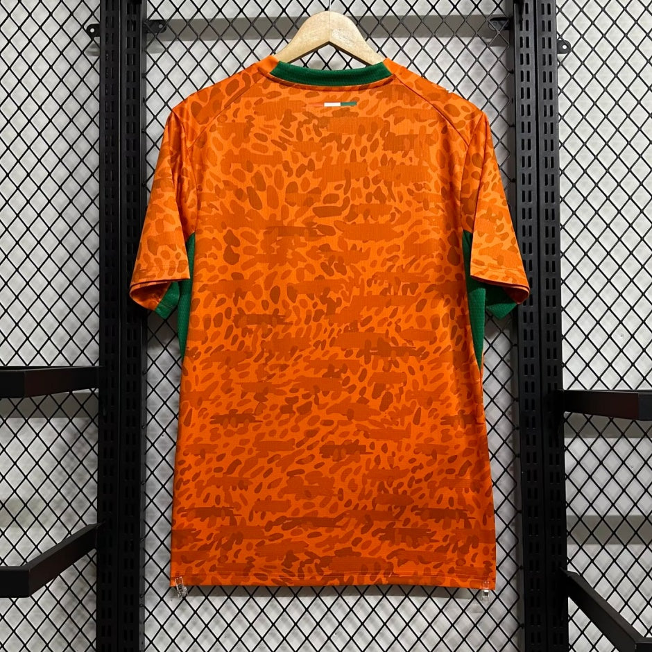 Ivory Coast 25/26 Special Jersey