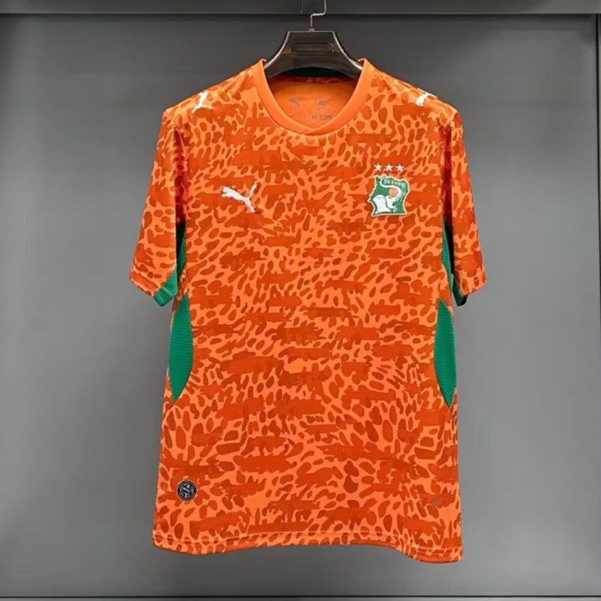 Ivory Coast 25/26 Special Jersey