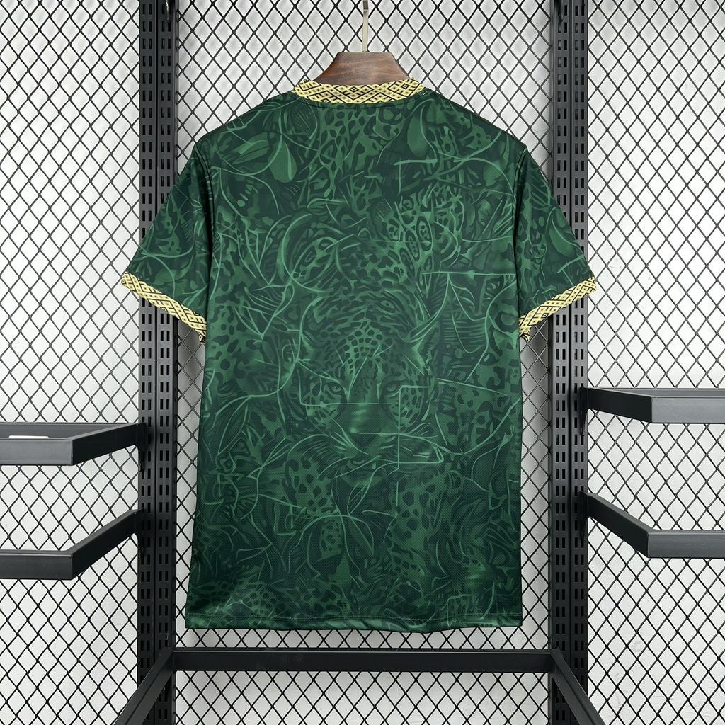 Brazil Green 26/27 Special Jersey