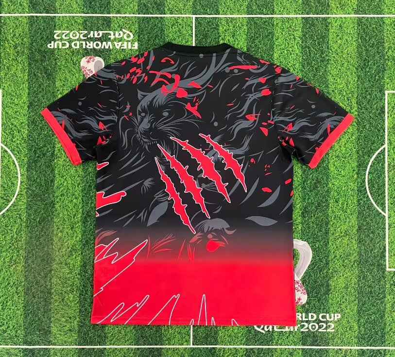 Brazil 25/26 Special Red A Jersey