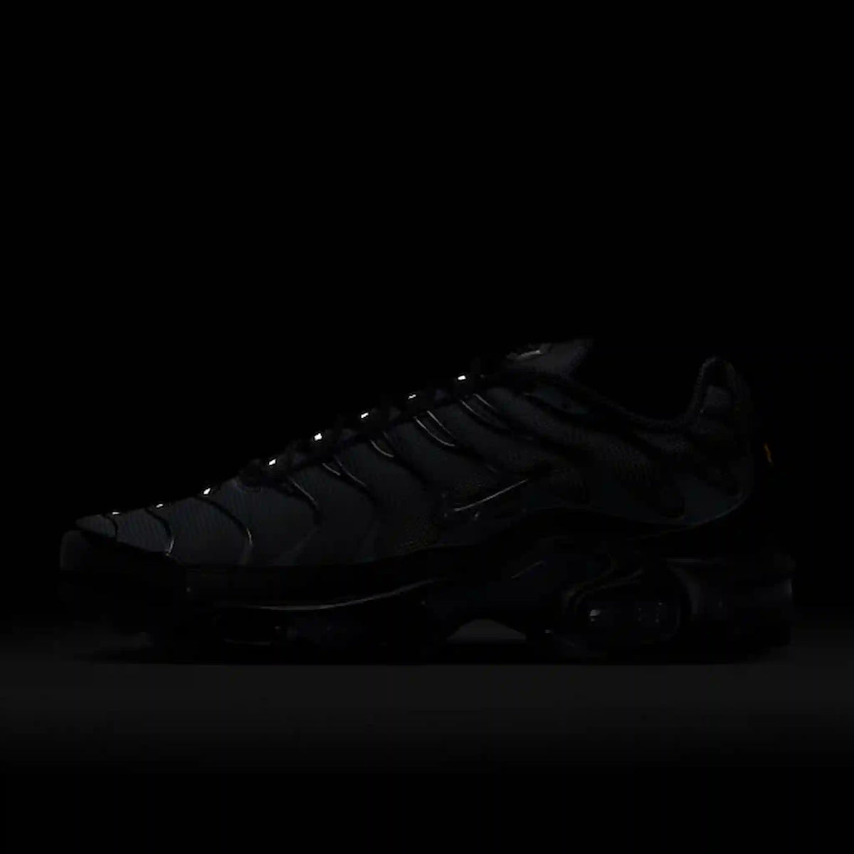 Nike Air Max Plus