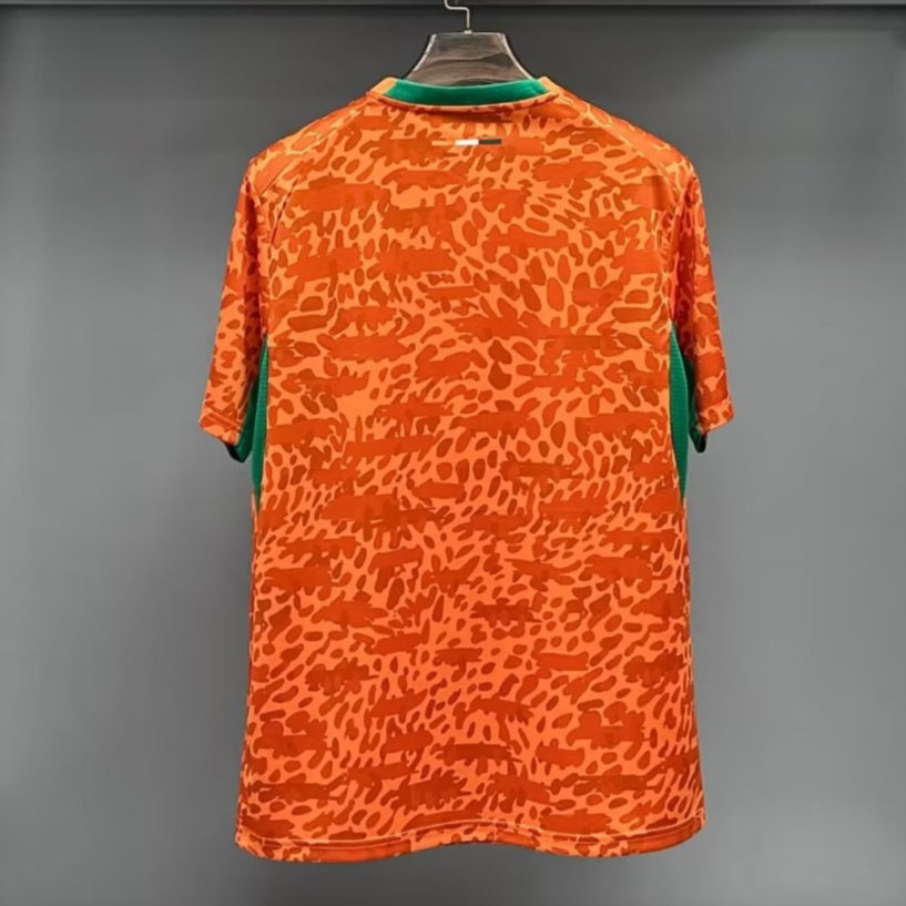 Ivory Coast 25/26 Special Jersey