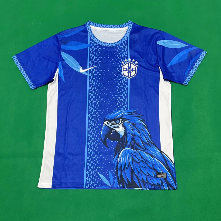 Brazil 26/27 Special Blue Jersey